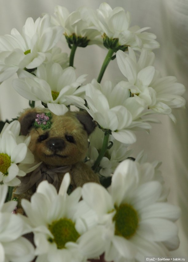 Если б мишки были бабочками (фото 7)