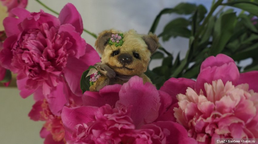 Если б мишки были бабочками