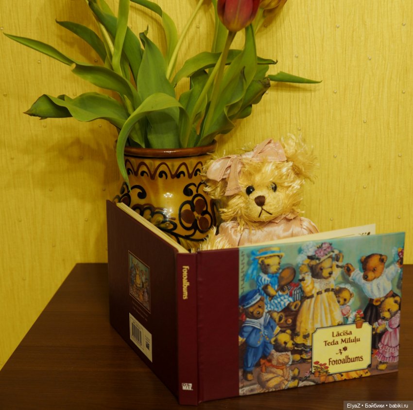 Если б мишки были бабочками