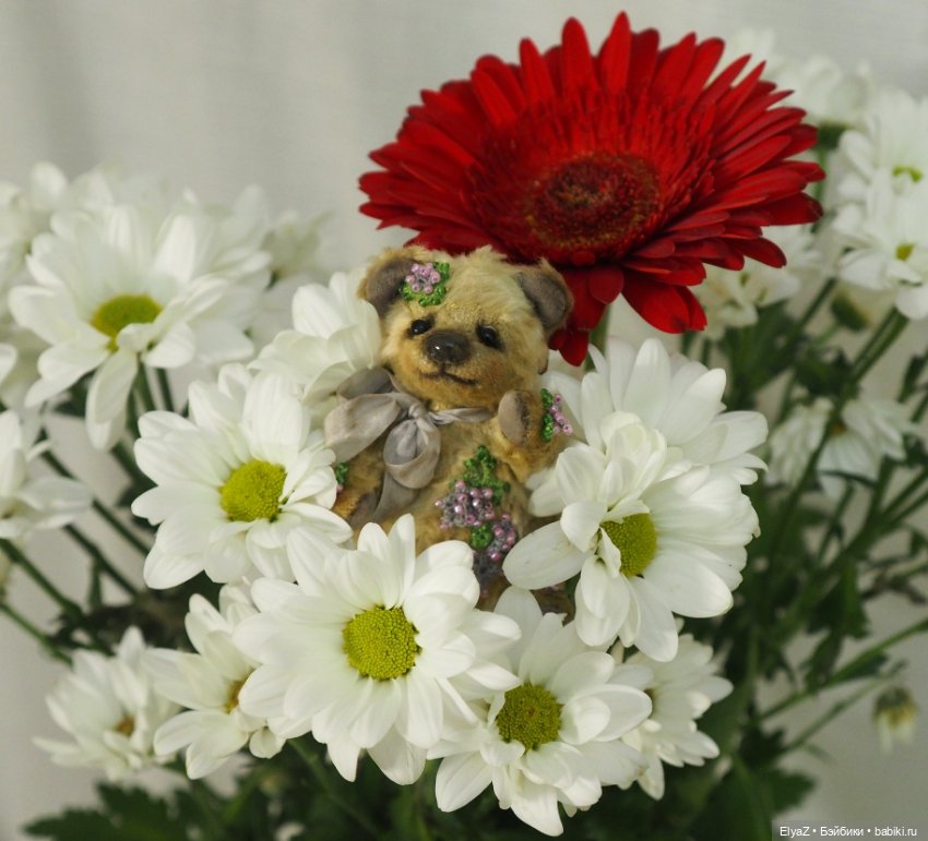 Если б мишки были бабочками (фото 9)