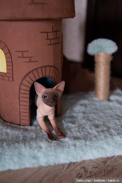 Румбокс V1.0. + зАмок для кота