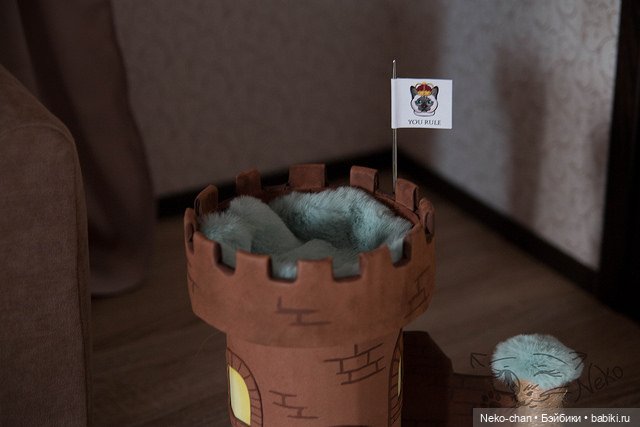 Румбокс V1.0. + зАмок для кота