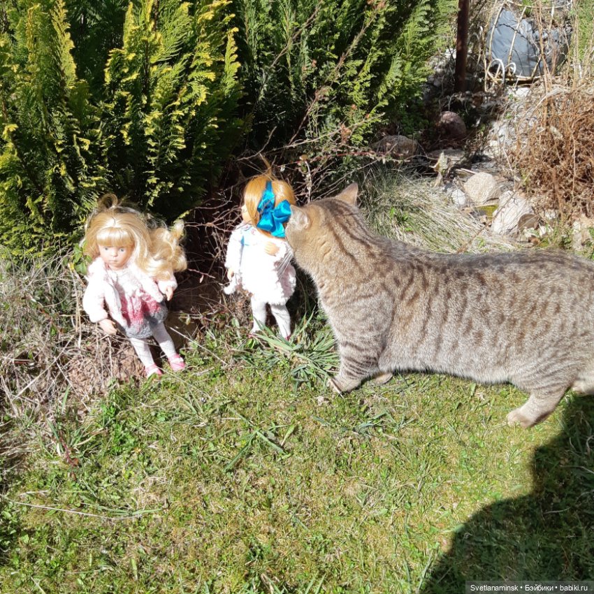 Кто в доме хозяин — Болталка и разговоры обо всем: жизнь