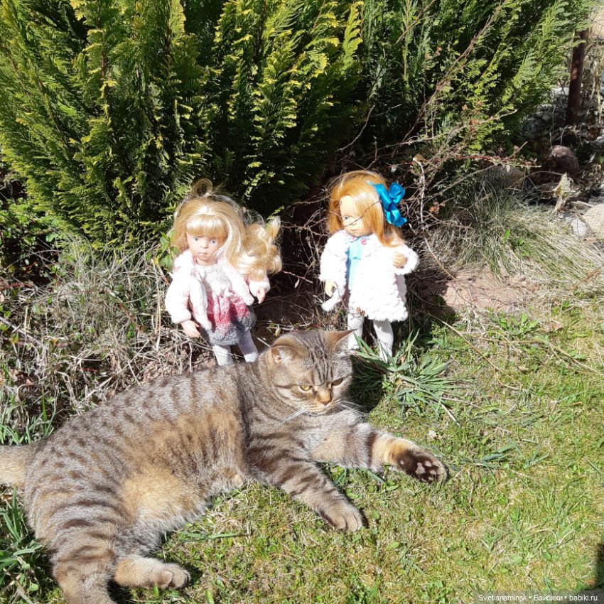 Кто в доме хозяин — Болталка и разговоры обо всем: жизнь (фото 2)