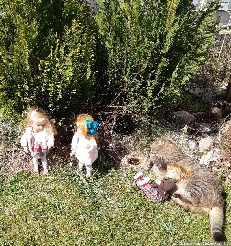 Кто в доме хозяин — Болталка и разговоры обо всем: жизнь (фото 3)