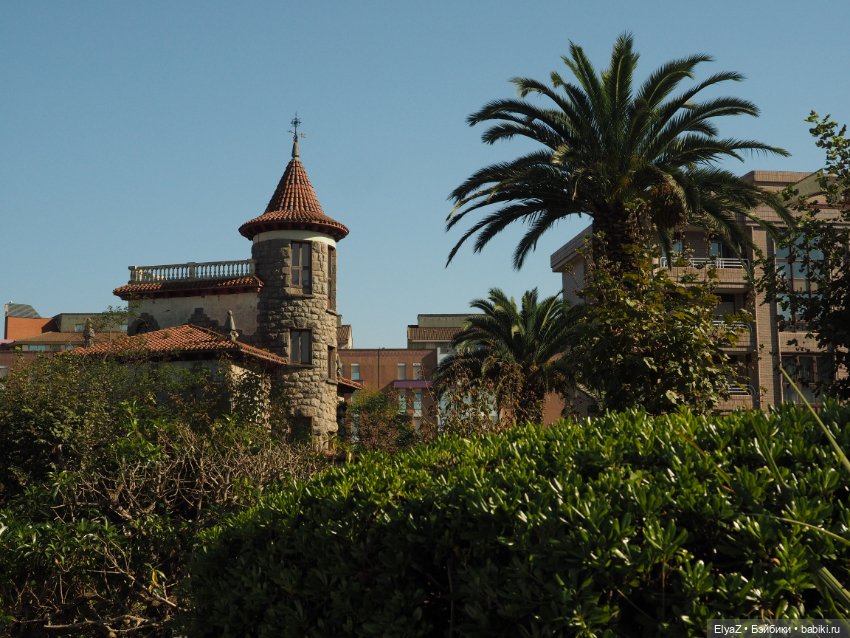 Воспоминания о море — Туризм и путешествия: фотоотчеты из поездок (фото 8)