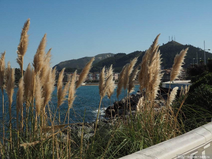 Воспоминания о море — Туризм и путешествия: фотоотчеты из поездок (фото 6)