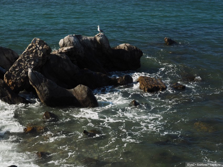 Воспоминания о море — Туризм и путешествия: фотоотчеты из поездок (фото 9)