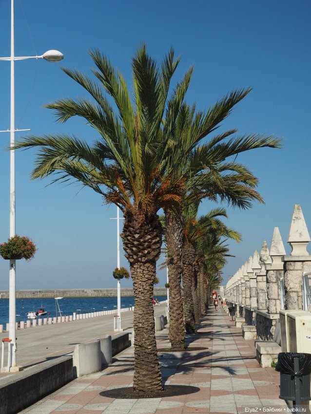 Воспоминания о море — Туризм и путешествия: фотоотчеты из поездок (фото 4)