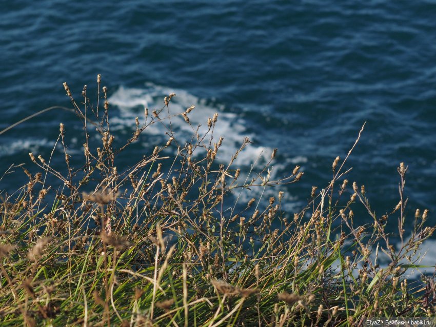 Воспоминания о море — Туризм и путешествия: фотоотчеты из поездок