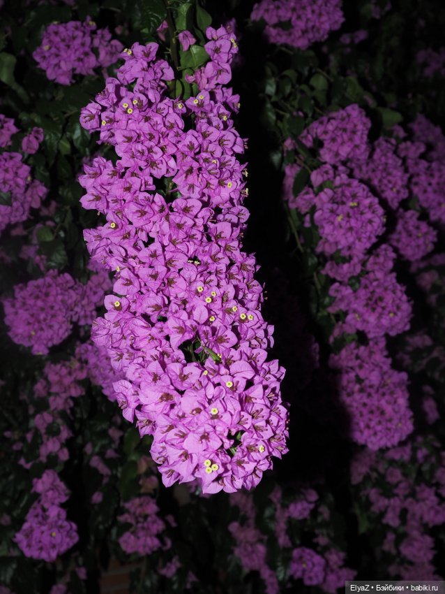 Воспоминания о море — Туризм и путешествия: фотоотчеты из поездок