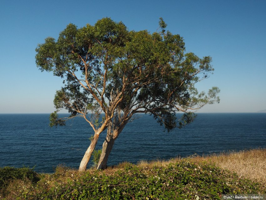 Воспоминания о море — Туризм и путешествия: фотоотчеты из поездок