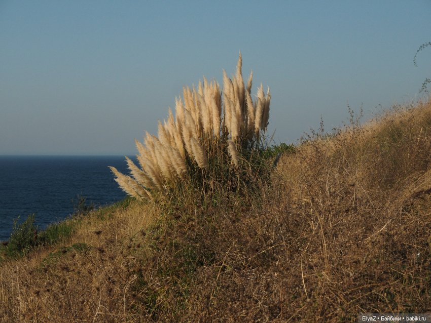 Воспоминания о море — Туризм и путешествия: фотоотчеты из поездок