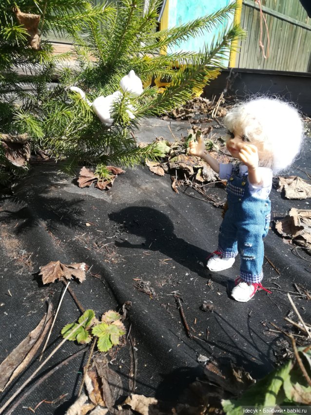 Попытка отдохнуть на даче (фото 9)