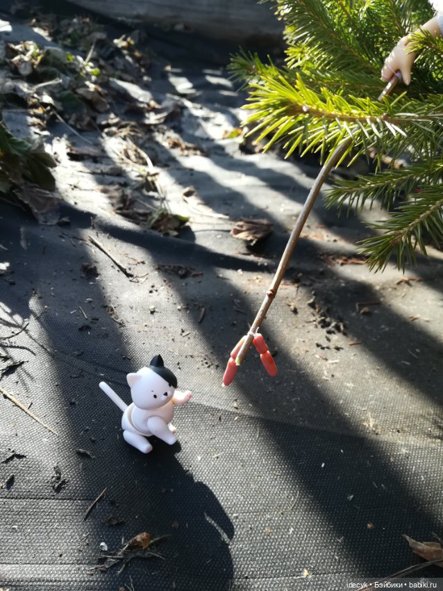 Попытка отдохнуть на даче (фото 6)