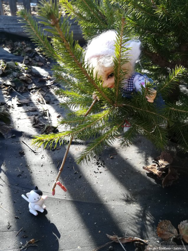 Попытка отдохнуть на даче (фото 7)