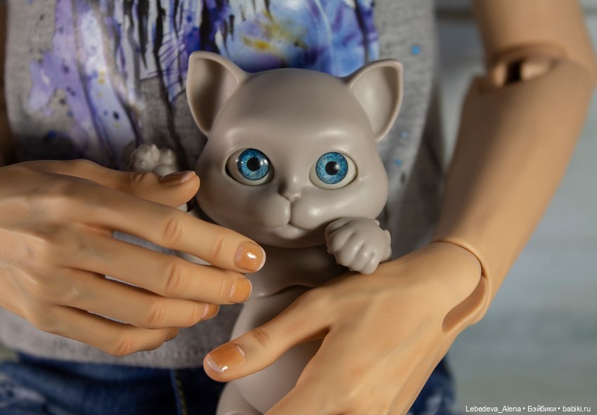 О бедной кошечке замолвите слово