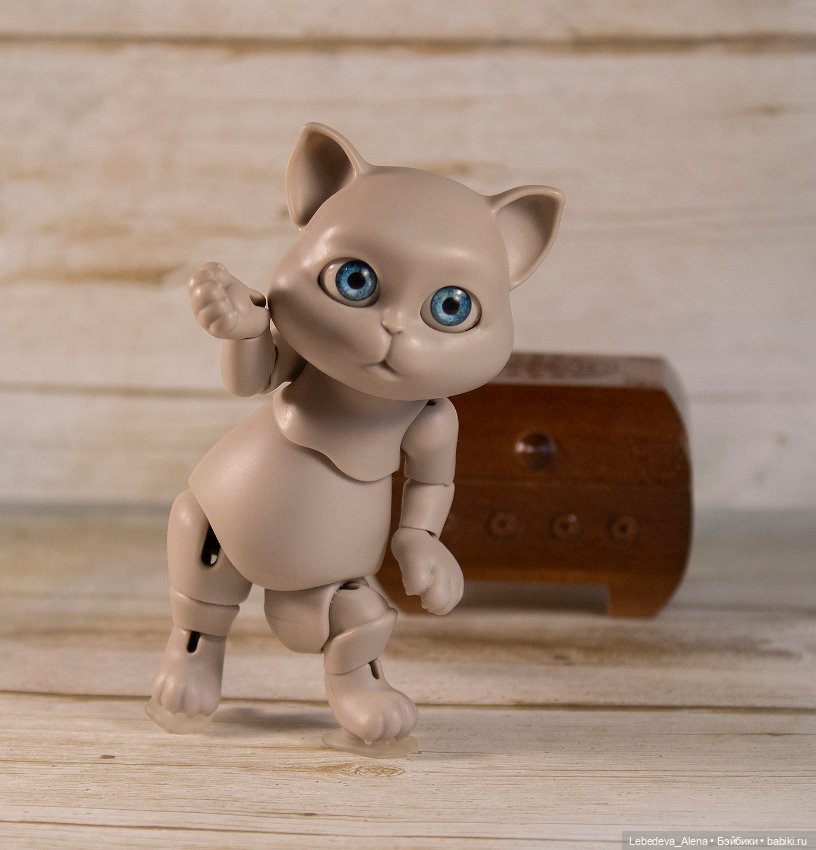 О бедной кошечке замолвите слово (фото 5)