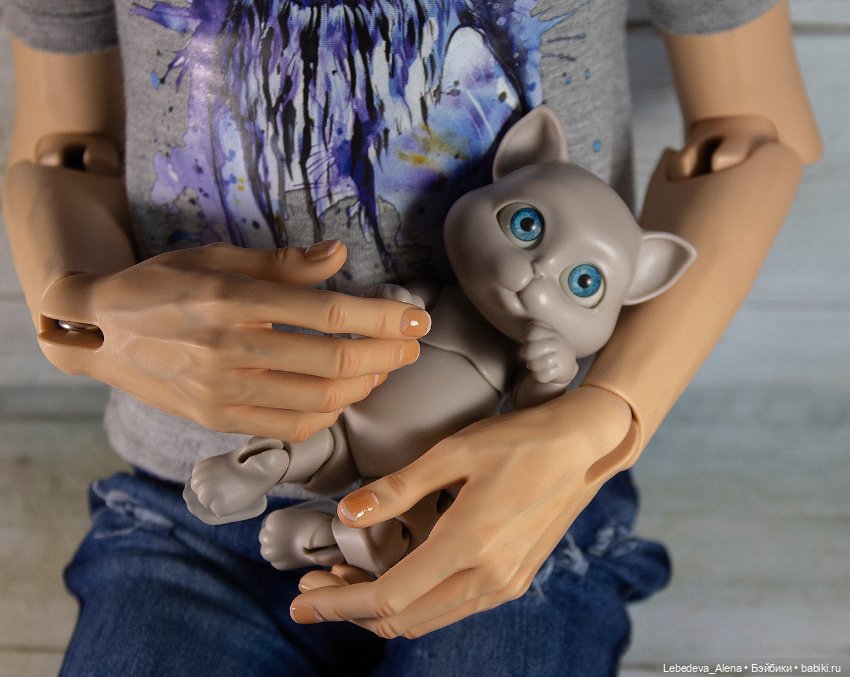 О бедной кошечке замолвите слово