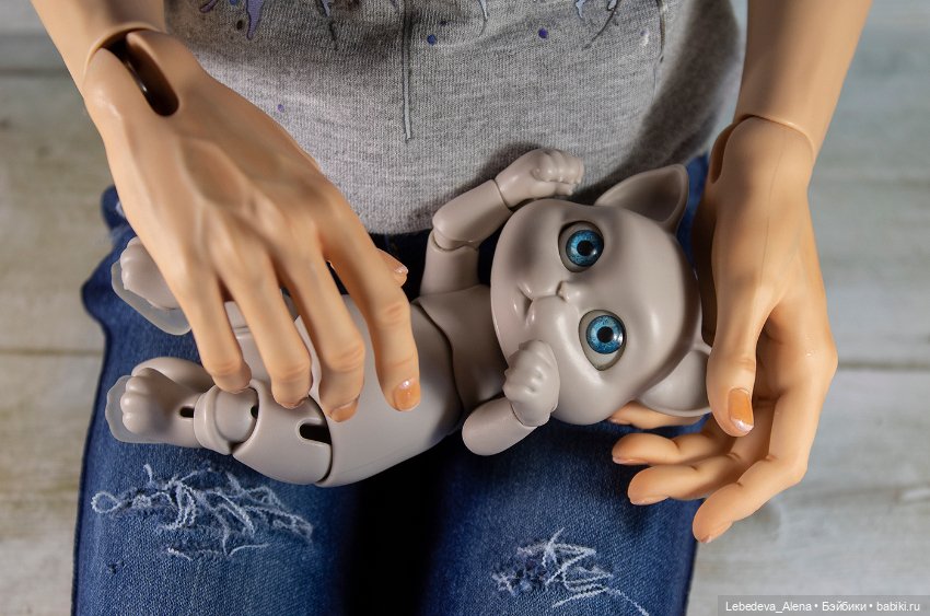 О бедной кошечке замолвите слово