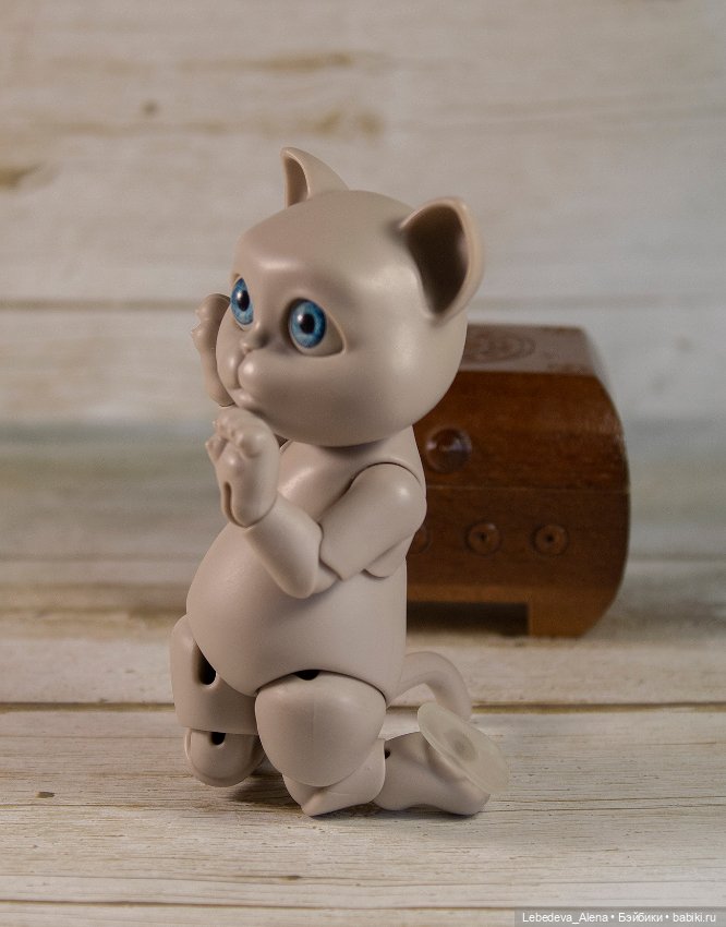 О бедной кошечке замолвите слово (фото 10)