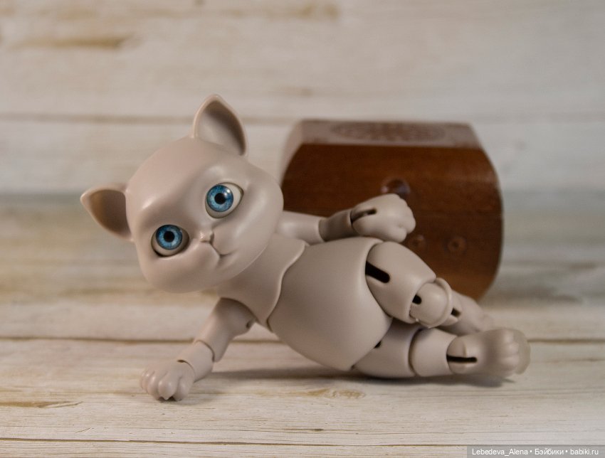 О бедной кошечке замолвите слово