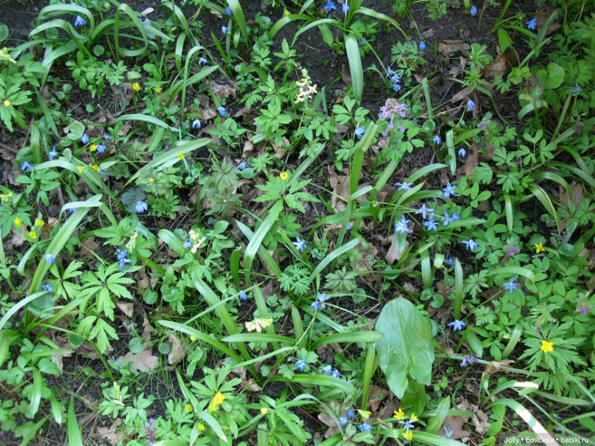 Ранняя весна в лесу — Авторские куклы ручной работы: текстильные