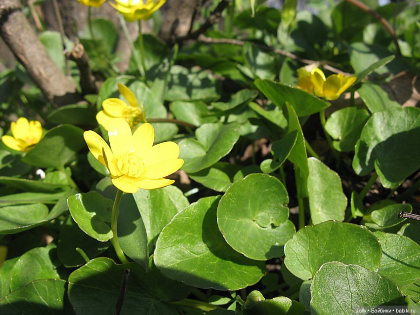 Ранняя весна в лесу — Авторские куклы ручной работы: текстильные (фото 8)