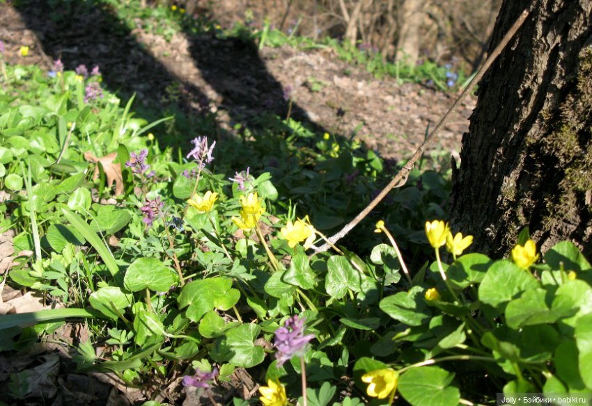 Ранняя весна в лесу — Авторские куклы ручной работы: текстильные (фото 6)