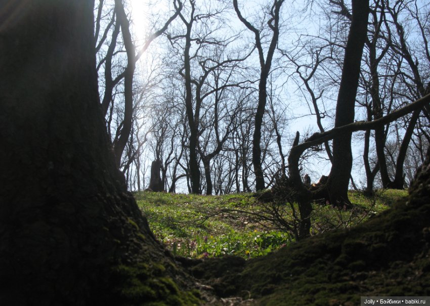 Ранняя весна в лесу — Авторские куклы ручной работы: текстильные