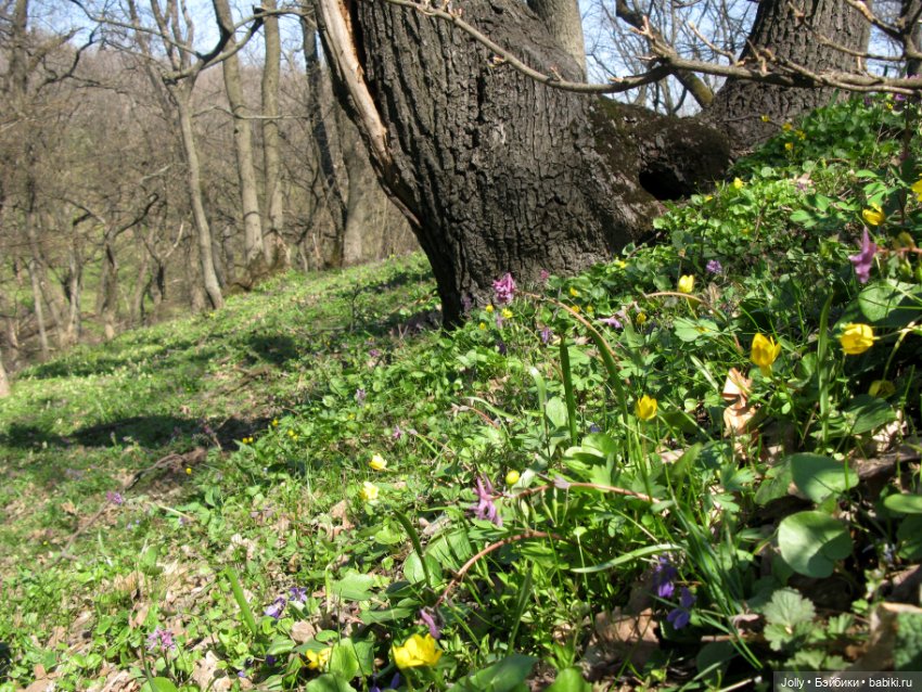 Ранняя весна в лесу — Авторские куклы ручной работы: текстильные (фото 2)