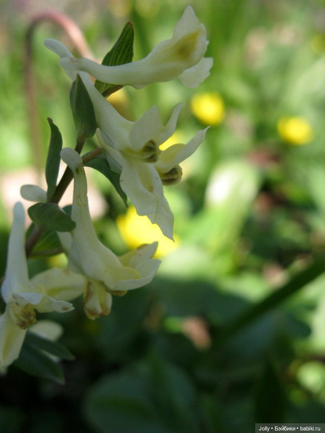 Ранняя весна в лесу — Авторские куклы ручной работы: текстильные