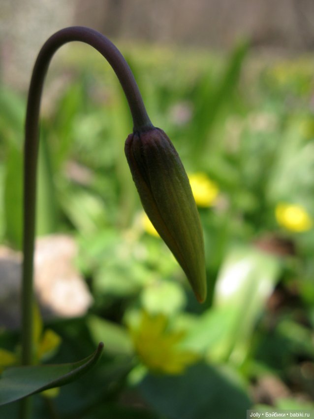 Ранняя весна в лесу — Авторские куклы ручной работы: текстильные