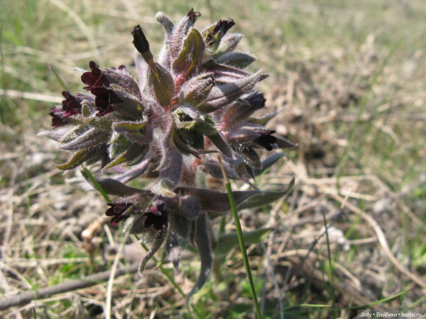 Ранняя весна в лесу — Авторские куклы ручной работы: текстильные