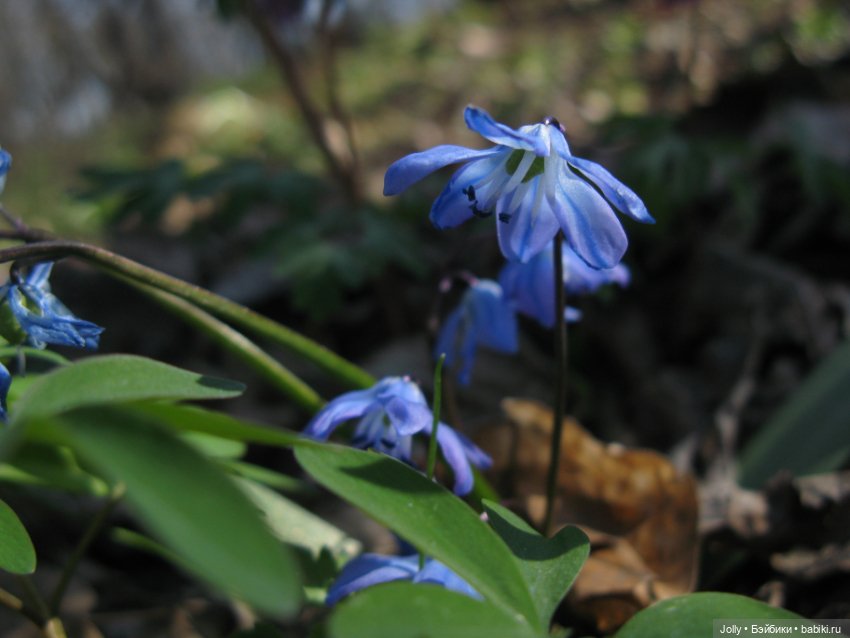 Ранняя весна в лесу — Авторские куклы ручной работы: текстильные