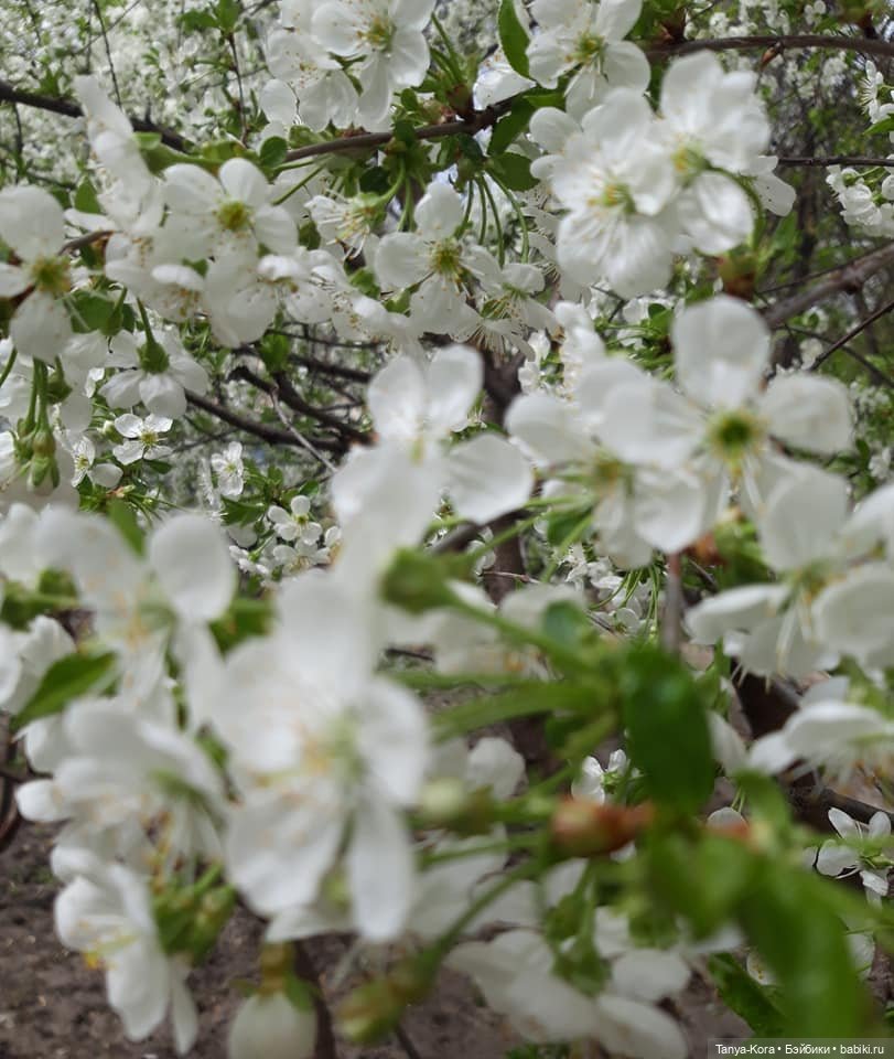 Девочка-малышка Хизер (Marianna Oldenburg) и ее новая жизнь (фото 2)
