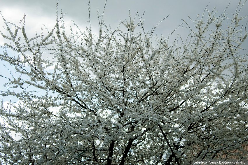 С Пасхой — Пасхальные открытки и куклы: поздравления