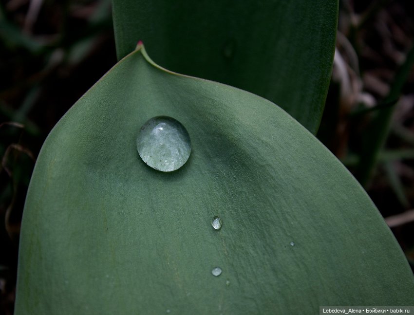 С Пасхой — Пасхальные открытки и куклы: поздравления (фото 9)