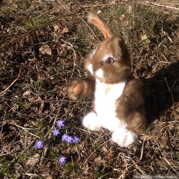 Пасха закончилась - зайцы остались