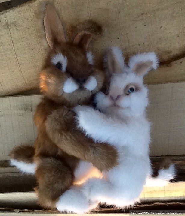 Пасха закончилась - зайцы остались