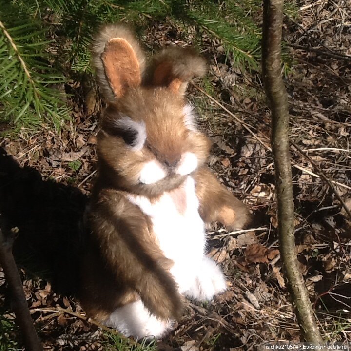 Пасха закончилась - зайцы остались (фото 7)