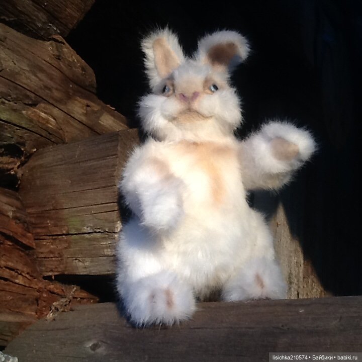 Пасха закончилась - зайцы остались