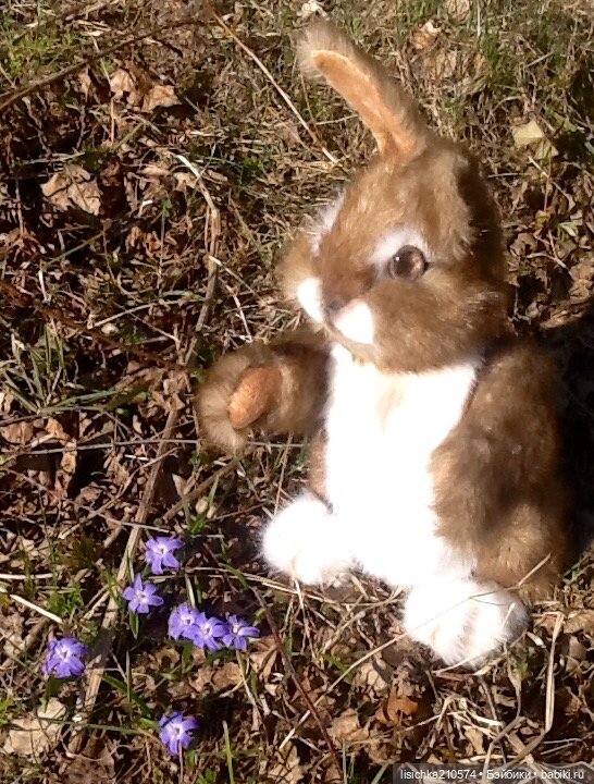 Пасха закончилась - зайцы остались
