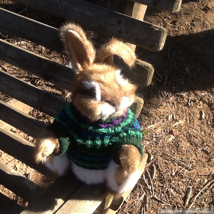 Пасха закончилась - зайцы остались