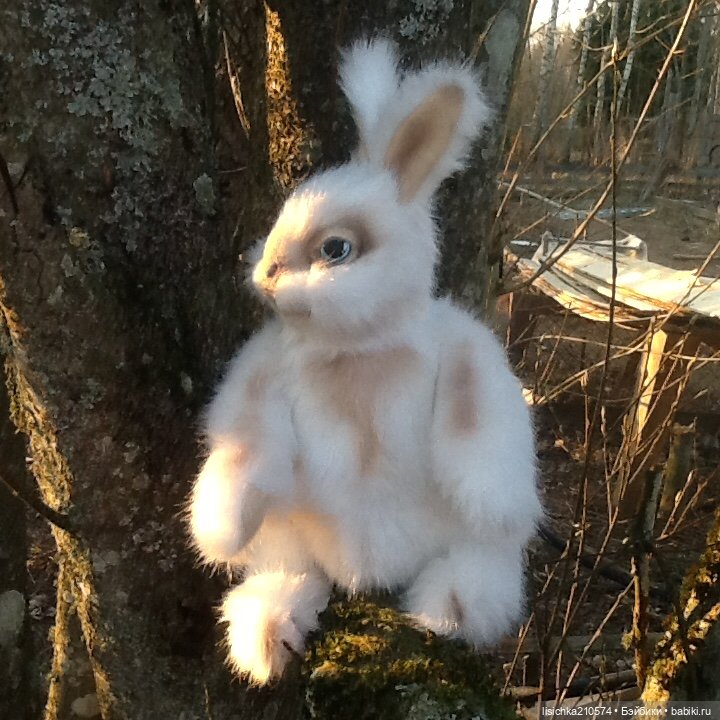 Пасха закончилась - зайцы остались