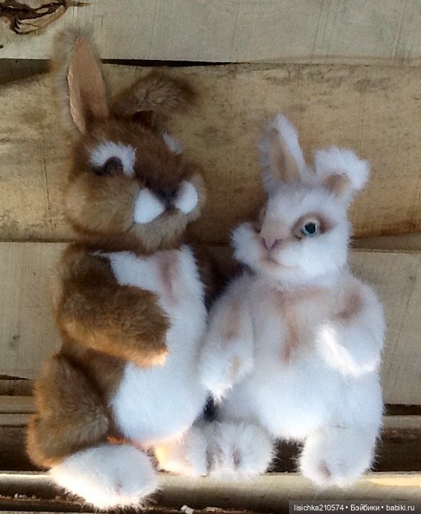 Пасха закончилась - зайцы остались