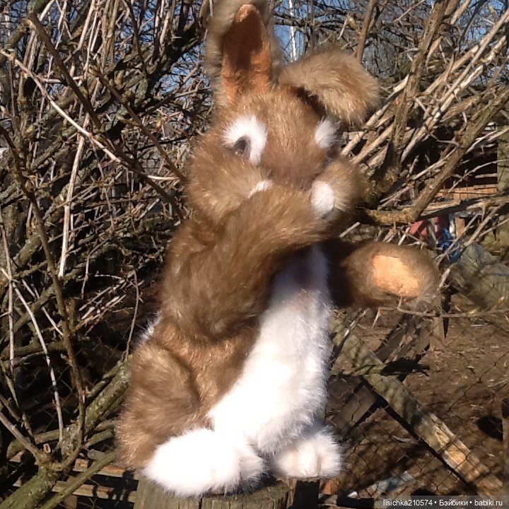 Пасха закончилась - зайцы остались