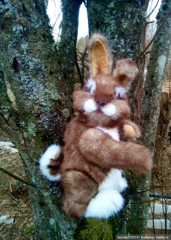 Пасха закончилась - зайцы остались (фото 2)