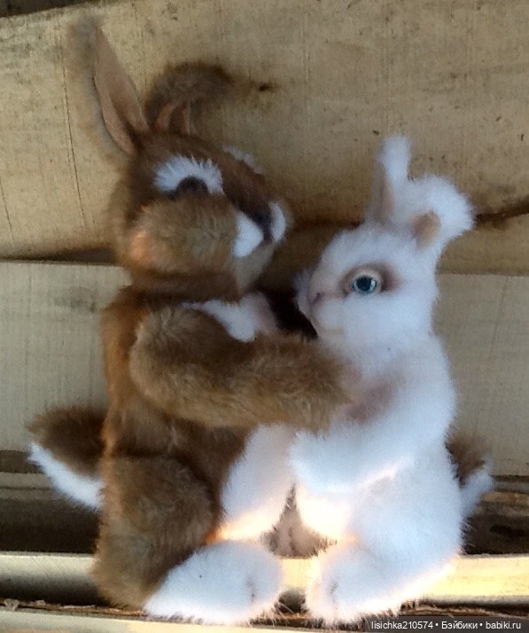 Пасха закончилась - зайцы остались