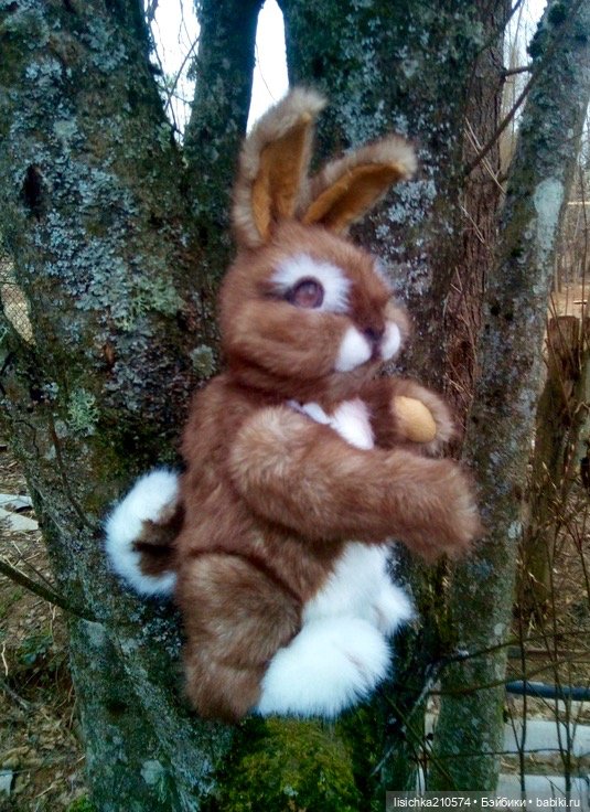 Пасха закончилась - зайцы остались (фото 5)